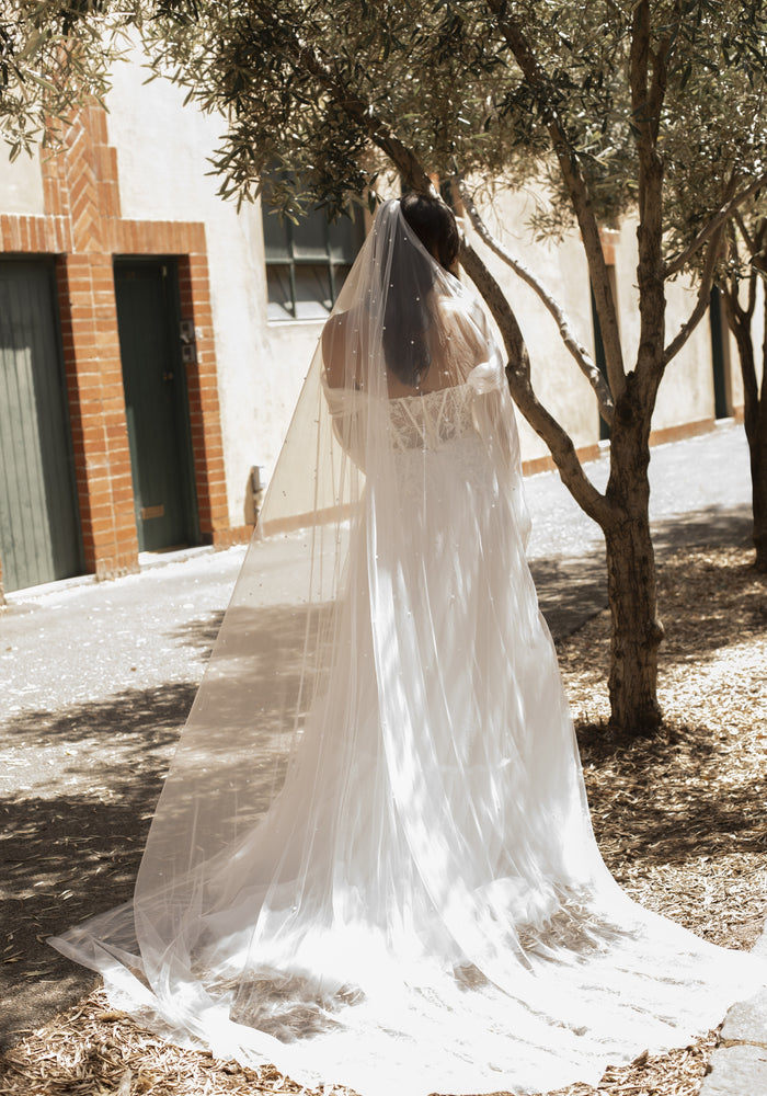 Back view of Riese dress behind long pearl studded veil.